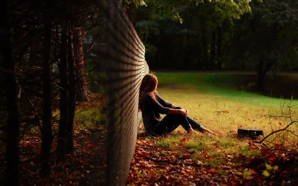 Sonnenlicht,Bäume,Wald,fallen,Frau,Frauen im Freien