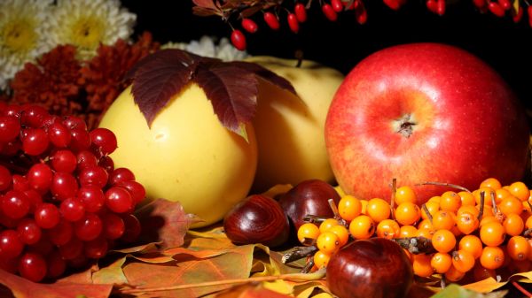 berries, 1920x1080 px, apples, autumn, berry, fall