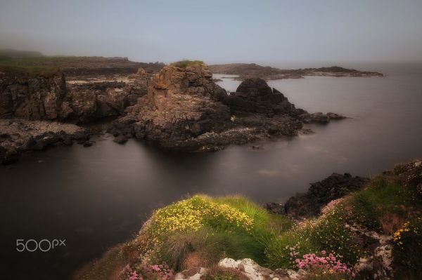 Landschaft, 500px, Meer, See, Blumen, Hügel