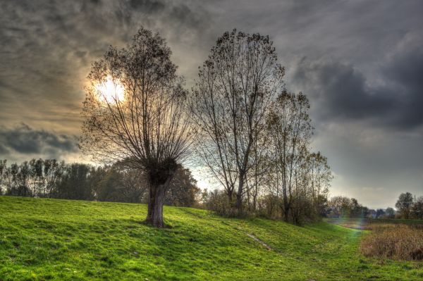 sunlight,trees,landscape,fall,lake,leaves