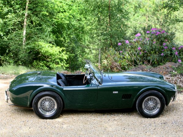 AC, cobra, retro, green, side view, nature