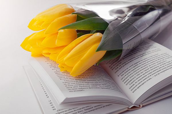 Hand,Blumen,Tulpen,Buch,Strauß,Blütenblatt