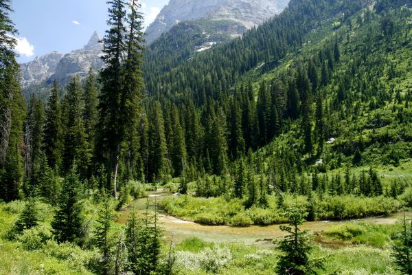 Parc national de Grand Teton,Etats-Unis,Wyoming,cascade canyon