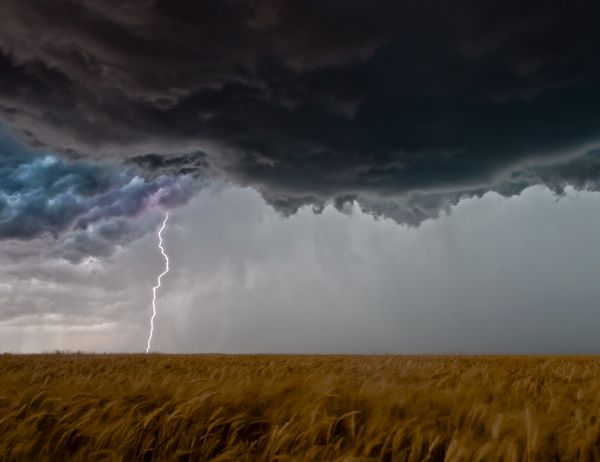 2000x1541 px,엘머,Lightning And Wheat Field,오클라호마 주