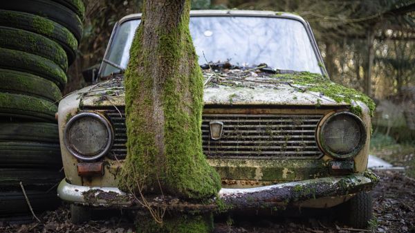 auto,pozemní vozidla,vozidlo,rostlina,mřížka,pneumatika