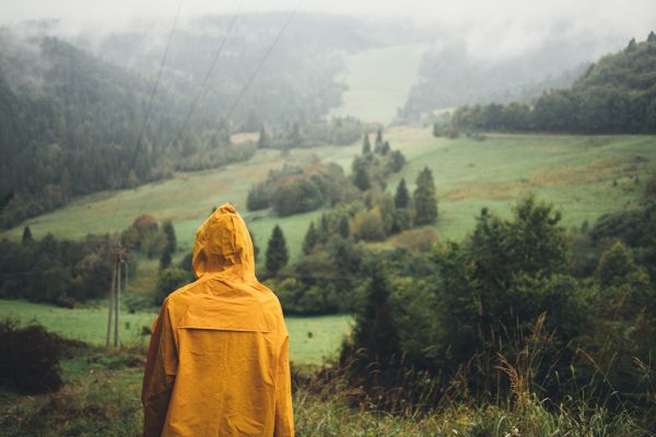 mrak,rostlina,ekoregion,hora,People in nature,list