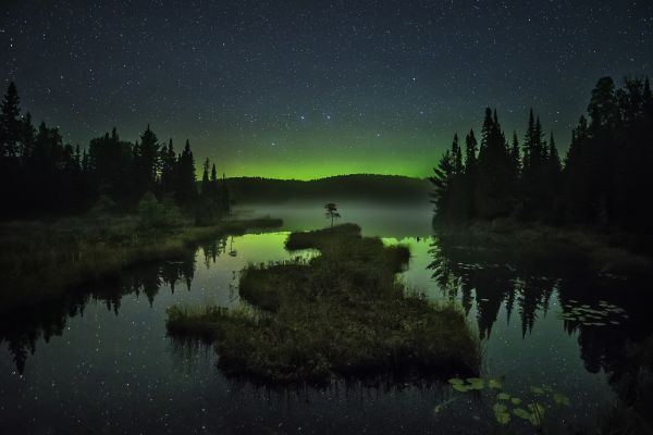 trees,forest,night,lake,nature,reflection