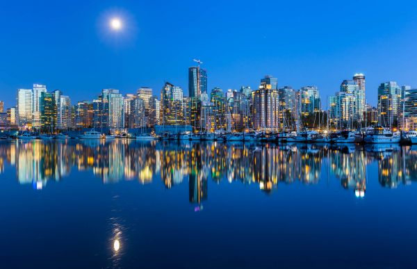 city, cityscape, night, trees, window, street