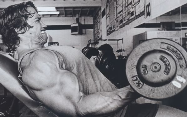 desenhando, monocromático, Arnold Schwarzenegger, Bodybuilder, trabalhando fora, levantamento de peso