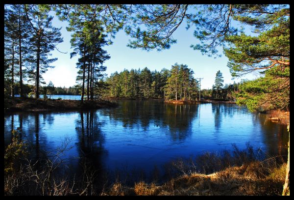 Příroda,les,krajina,Nikon,scenérie,forrest