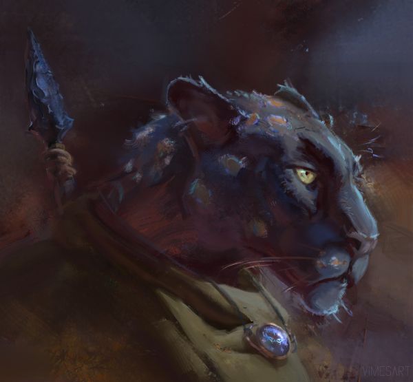 vymyslená postava,fictional characters,Vimes Art,Tabaxi Ranger,kopije,chlpatý