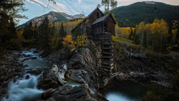 trær, landskap, skog, falle, fjellene, foss