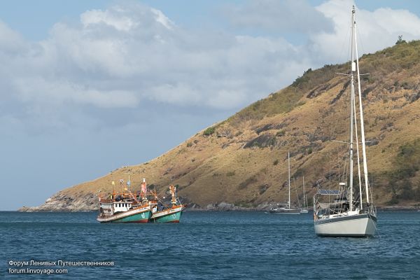 barca, cibo, mare, baia, veicolo, nave