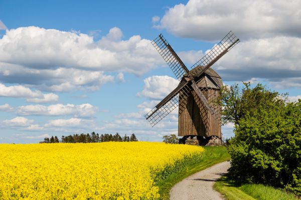 landskap,bygning,himmel,felt,vind,vei