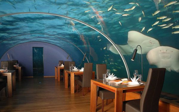 underwater restaurant,Maldivas,tropical