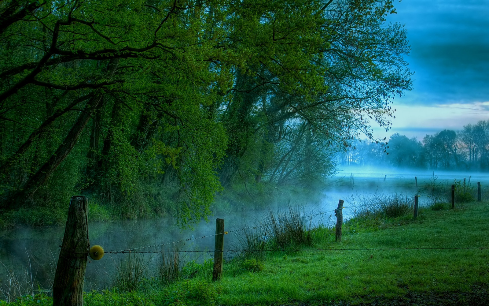 luce del sole, alberi, paesaggio, foresta, filo spinato, natura, riflessione, erba, verde, mattina, nebbia, fiume, giungla, palude, zone umide, albero, foglia, pianta, bosco, habitat, ambiente naturale, fenomeno atmosferico, sfondo del computer, pianta legnosa, ecosistema