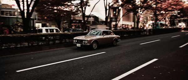 日本,東京,写真,2000年,渋谷区,シグマ