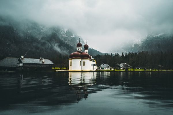 kasteel,bomen,reflectie,bergen,mist,meer