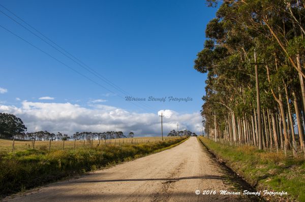 natură, Natureza, peisaj, CEU, paisagem, cer albastru