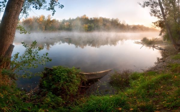 auringonvalo,Puut,maisema,metsä,järvi,vesi