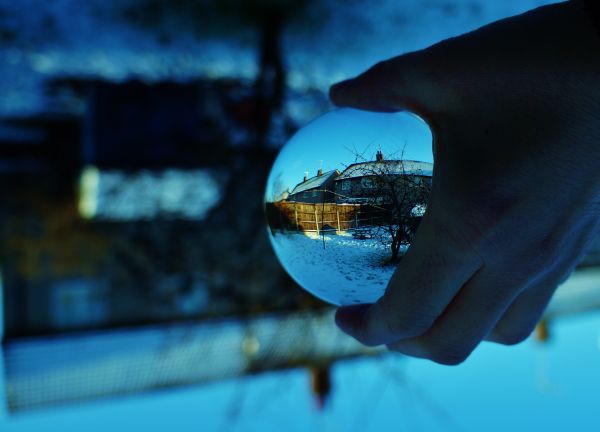 grădină,apă,lumina soarelui,alb,noapte,reflecţie