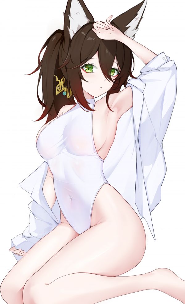 anime,anime girls,Honkai Star Rail,artwork,Tingyun Honkai Star Rail,brunette