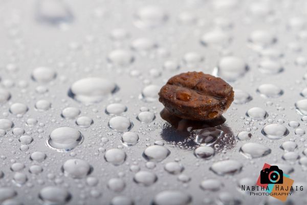 Kaffee, Wasser, Makro, Kanon, Studio, glücklich