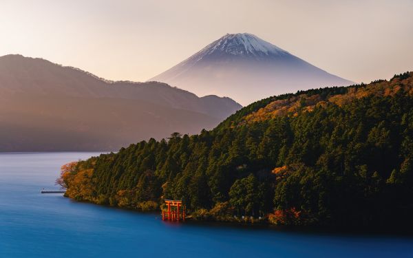 景观,性质,摄影,日本,富士山,河