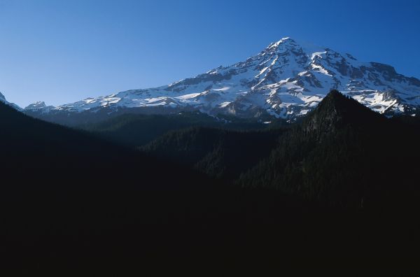 Árboles,paisaje,montañas,colina,cielo,nieve