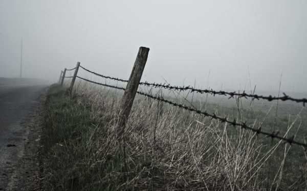 Stacheldraht, Gras, Landschaft, einfarbig, Schnee, Winter