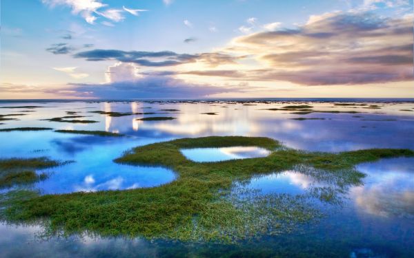 landscape,sea,lake,shore,reflection,sky