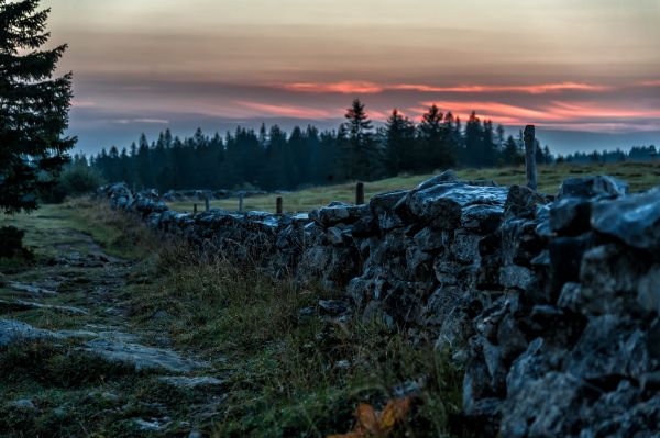 Mañana,mojado,piedra,pared,amanecer,Schweiz