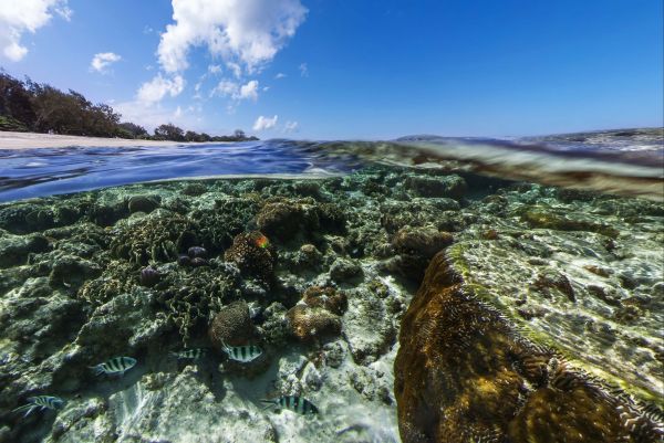 paesaggio,mare,baia,acqua,roccia,puntellare