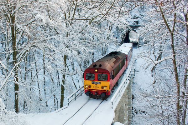 snow,winter,vehicle,train,branch,ice