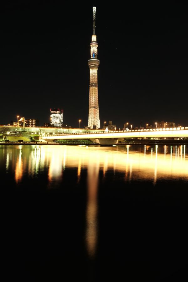 město,panoráma města,noc,architektura,odraz,panoráma