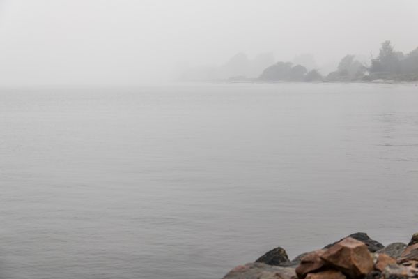 mar, lago, agua, apuntalar, Mañana, bahía