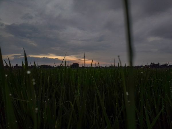 mrak, nebe, rostlina, Natural landscape, vegetace, terrestrial plant