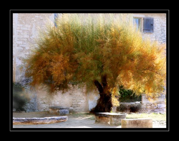 eau,réflexion,ciel,paysage,La peinture,la nature