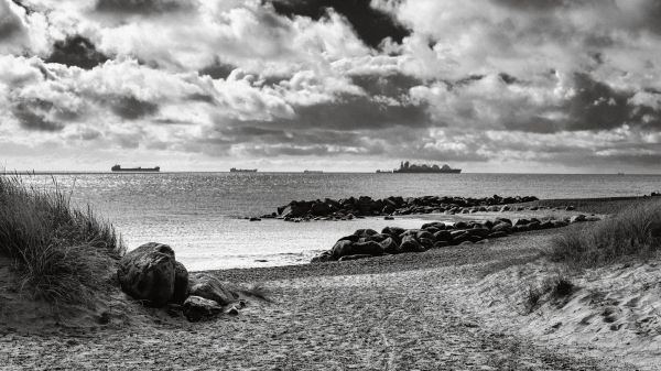 czarny i biały, Monochromatyczna fotografia, niebo, morze, Chmura, Wybrzeże