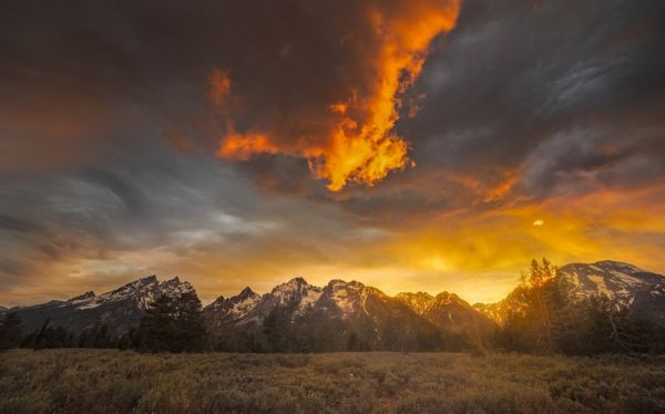 des arbres,paysage,Montagnes,le coucher du soleil,la nature,herbe