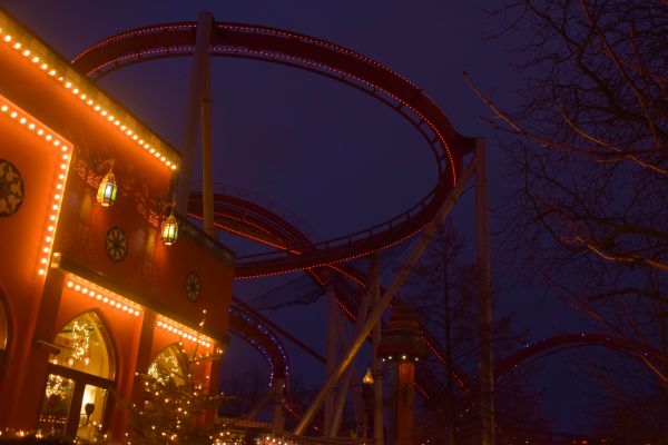 contrast, nacht, rood, park, winter, avond