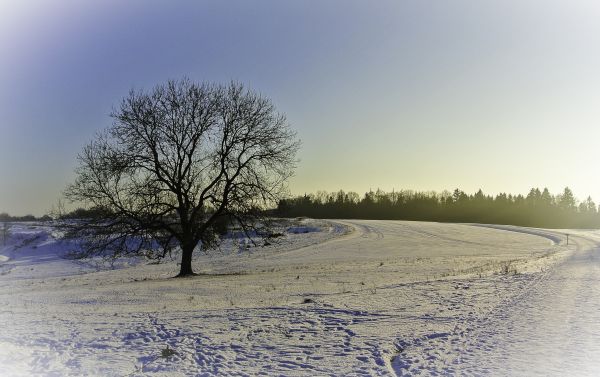 Солнечный лучик, пейзаж, природа, небо, снег, Зима