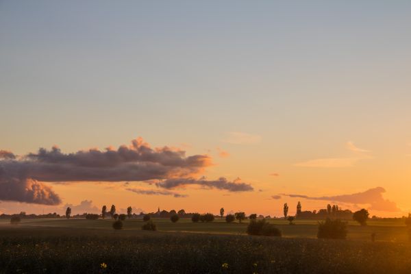 luz solar,panorama,Pôr do sol,céu,campo,nascer do sol