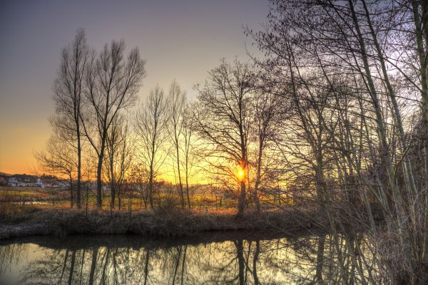 zonlicht, bomen, landschap, zonsondergang, water, Bos