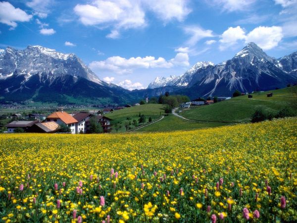 landscape,nature,field,valley,Alps,plateau