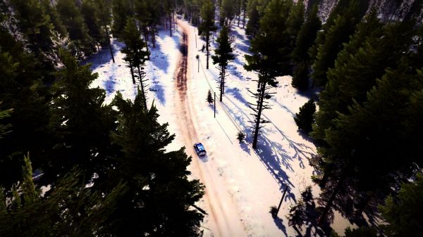 rallybilar,DiRT Rally,skog,snö,vinter-,is