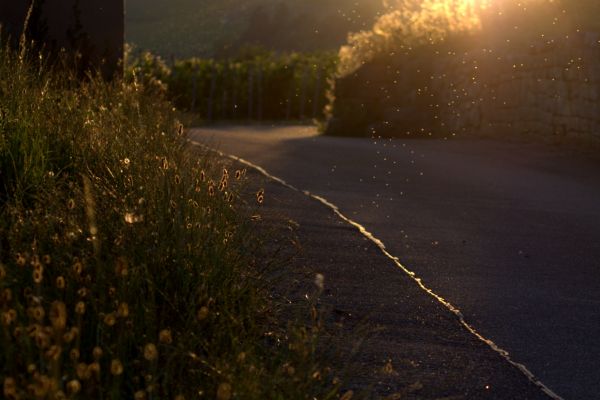 lumina soarelui, apus de soare, noapte, natură, reflecţie, lumini