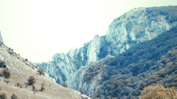 Puut,vuoret,laakso,mountain pass,Alpit,ylätasanko