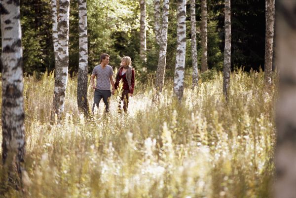 hutan,Birch,cinta,anak laki-laki,gadis,berjalan