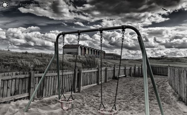 Canone,fotografia,parco,uccello,spiaggia,nuvole